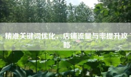 精准关键词优化，店铺流量与率提升攻略