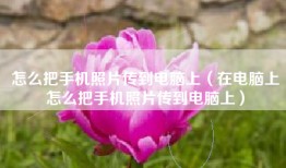 怎么把手机照片传到电脑上（在电脑上怎么把手机照片传到电脑上）