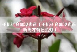手机扩音器没声音（手机扩音器没声音听筒才有怎么办）