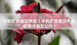 手机扩音器没声音（手机扩音器没声音听筒才有怎么办）