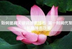 如何提高关键词搜索排名_第一时间代发+长期排名效果
