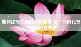 如何提高关键词搜索排名_第一时间代发+长期排名效果
