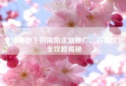 全球视野下的南阳企业推广，谷歌优化全攻略揭秘