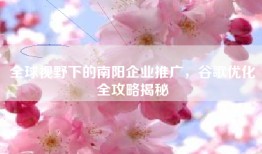 全球视野下的南阳企业推广，谷歌优化全攻略揭秘