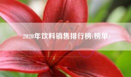 2020年饮料销售排行榜(榜单)