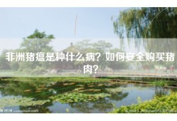 非洲猪瘟是种什么病？如何安全购买猪肉？