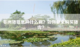 非洲猪瘟是种什么病？如何安全购买猪肉？