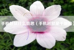 手机越狱什么意思（手机越狱是干嘛的）