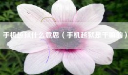 手机越狱什么意思（手机越狱是干嘛的）