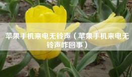 苹果手机来电无铃声（苹果手机来电无铃声咋回事）