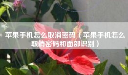 苹果手机怎么取消密码（苹果手机怎么取消密码和面部识别）