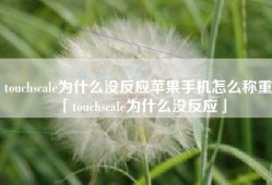 touchscale为什么没反应苹果手机怎么称重「touchscale为什么没反应」