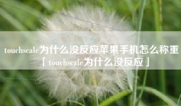 touchscale为什么没反应苹果手机怎么称重「touchscale为什么没反应」