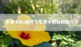 苹果手机6图片（苹果手机各款图片）