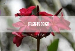 贝店我的店