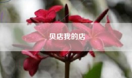 贝店我的店