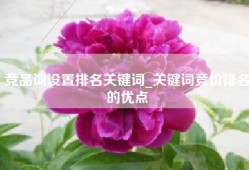 竞品词设置排名关键词_关键词竞价排名的优点