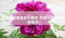 竞品词设置排名关键词_关键词竞价排名的优点