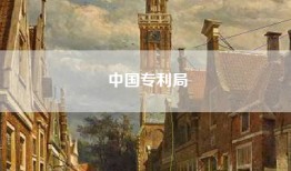 中国专利局
