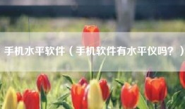 手机水平软件（手机软件有水平仪吗？）