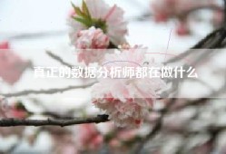 真正的数据分析师都在做什么