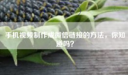 手机视频制作成微信链接的方法，你知道吗？