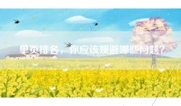 单页排名，你应该规避哪些问题？