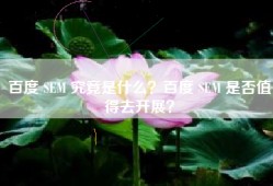 百度 SEM 究竟是什么？百度 SEM 是否值得去开展？