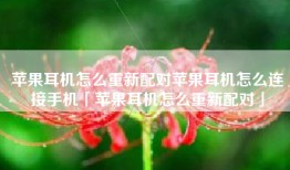 苹果耳机怎么重新配对苹果耳机怎么连接手机「苹果耳机怎么重新配对」
