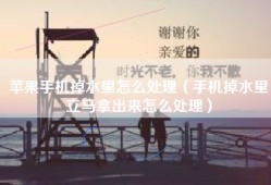 苹果手机掉水里怎么处理（手机掉水里立马拿出来怎么处理）