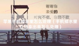 苹果手机掉水里怎么处理（手机掉水里立马拿出来怎么处理）