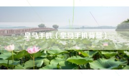 皇马手机（皇马手机背景）
