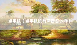 当手机（当手机没有声音怎么办）
