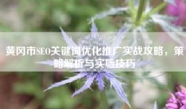 黄冈市SEO关键词优化推广实战攻略，策略解析与实施技巧
