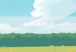 南风钓鱼怎么样