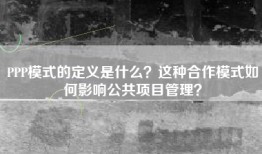 PPP模式的定义是什么？这种合作模式如何影响公共项目管理？