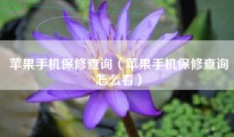 苹果手机保修查询（苹果手机保修查询怎么看）