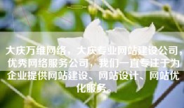 大庆万维网络，大庆专业网站建设公司，优秀网络服务公司，我们一直专注于为企业提供网站建设、网站设计、网站优化服务。