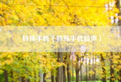 特殊手机（特殊手机铃声）
