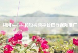 利用YouTube和短视频平台进行视频推广
