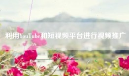 利用YouTube和短视频平台进行视频推广