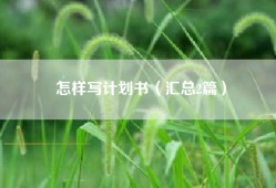 怎样写计划书（汇总2篇）