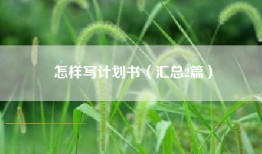 怎样写计划书（汇总2篇）