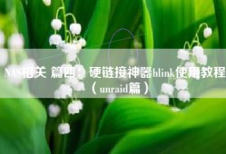 NAS相关 篇四：硬链接神器hlink使用教程（unraid篇）