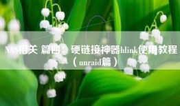 NAS相关 篇四：硬链接神器hlink使用教程（unraid篇）