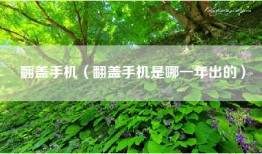 翻盖手机（翻盖手机是哪一年出的）