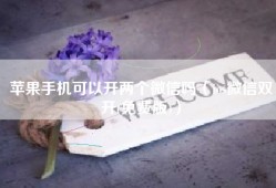 苹果手机可以开两个微信吗（ios微信双开(免费版)）