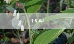 手机find