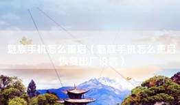 魅族手机怎么重启（魅族手机怎么重启恢复出厂设置）