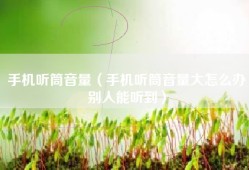手机听筒音量（手机听筒音量大怎么办别人能听到）